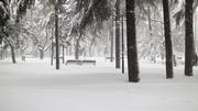 Emergenza ghiaccio e neve: norme di comportamento, obblighi e cautele da osservare