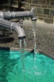 Manifestazione d'interesse per l'affidamento del servizio di manutenzione fontane e impianti di irrigazione - biennio 2019-2020«